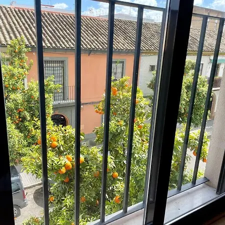 El Balcon De Naranjos Cordoba
